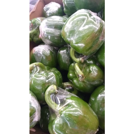 

Paprika hijau 500gr