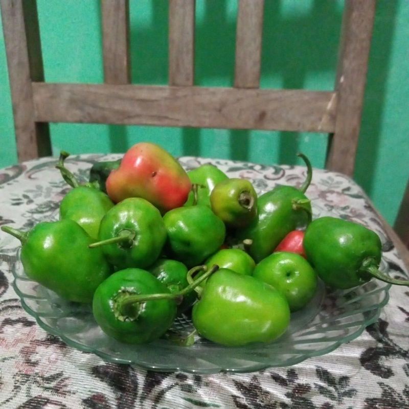 

Cabe Dieng Cabe Gendot