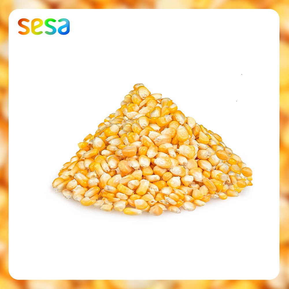 

JAGUNG Manis Pipil Organik 250gr - Sayuran Makanan Cemilan Fresh Sehat