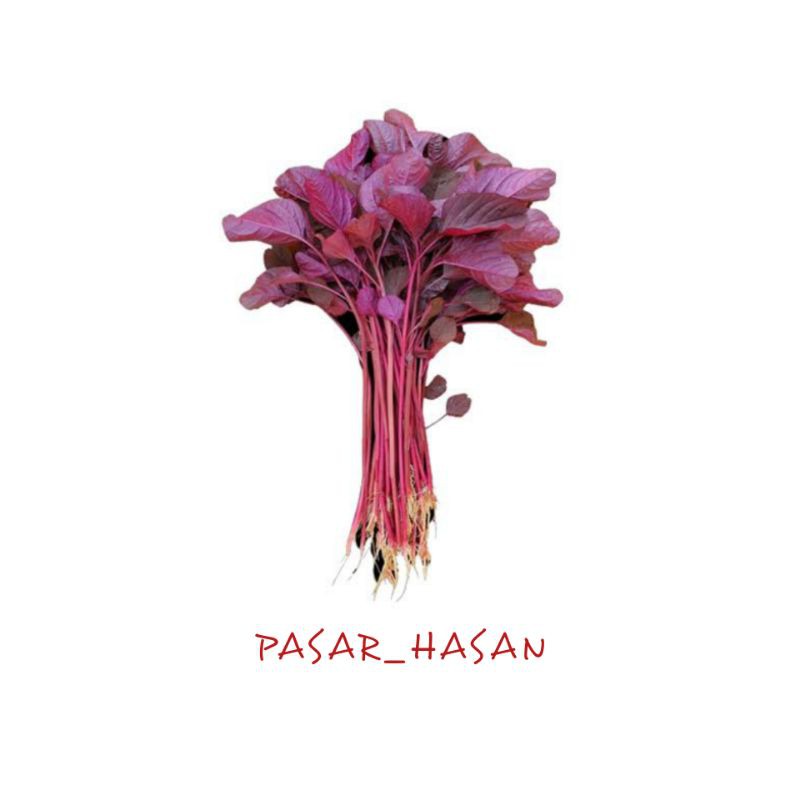 

PASAR HASAN | 1 ikat Bayam Merah | Sayuran Segar | Sayur Online