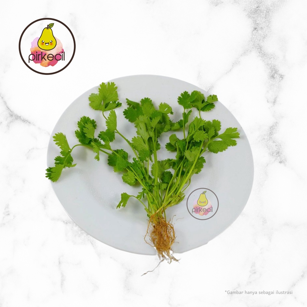 

Daun Wansui / Daun Ketumbar / Cilantro segar 100 gr
