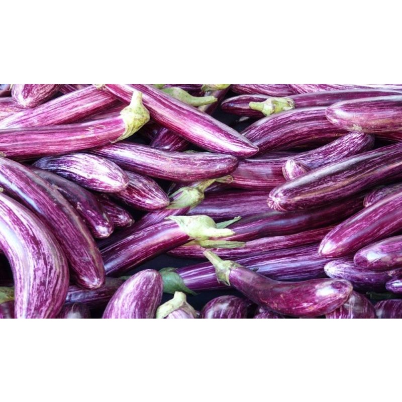 

Terong ungu (500 gram)