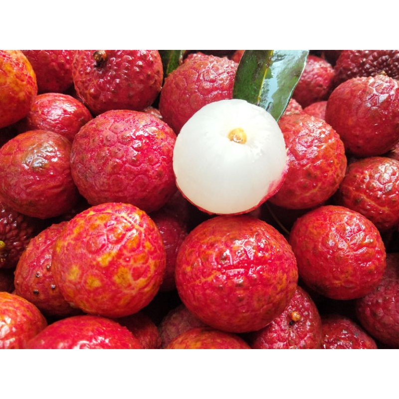 leci madu / lychee madu / buah leci fresh / leci manis / buah leci 1kg