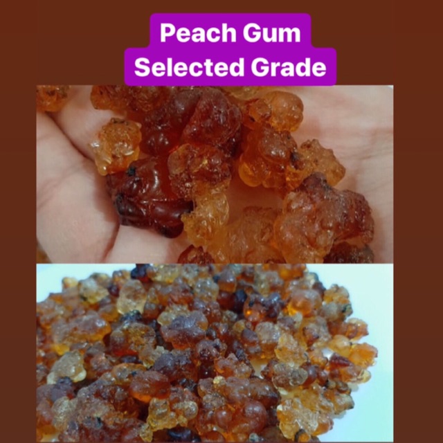 

250 gr Peach Gum Selected masih kotor peachgum