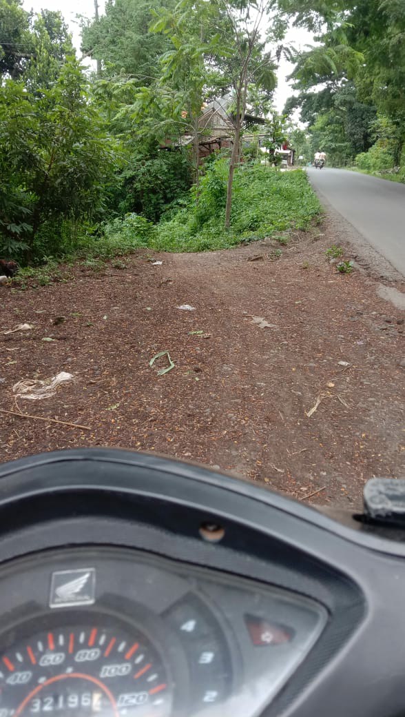 Stik Es Tebal Isi 50 Pcs