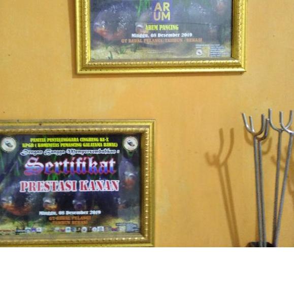 ➼ UMPAN MEDE ARUM UMPAN GALATAMA BAWAL 400gram - UMPAN BAWAL GACOR - UMPAN MEDE - GALATAMA BAWAL - U