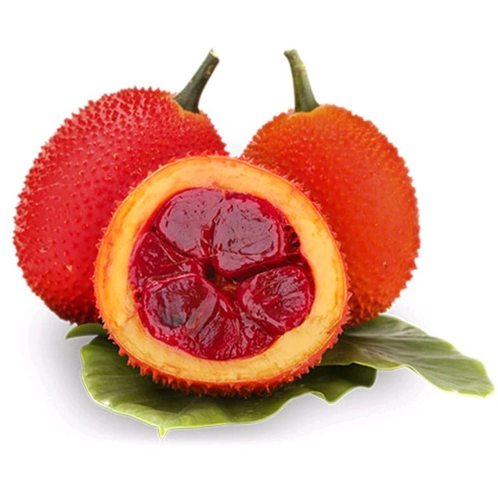 Benih Buah Gac Fruit Momordica Cochinchinesis