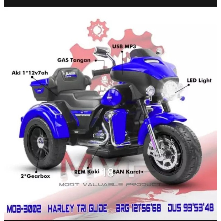 MOTOR AKI ANAK HARLEY (50 Kg)