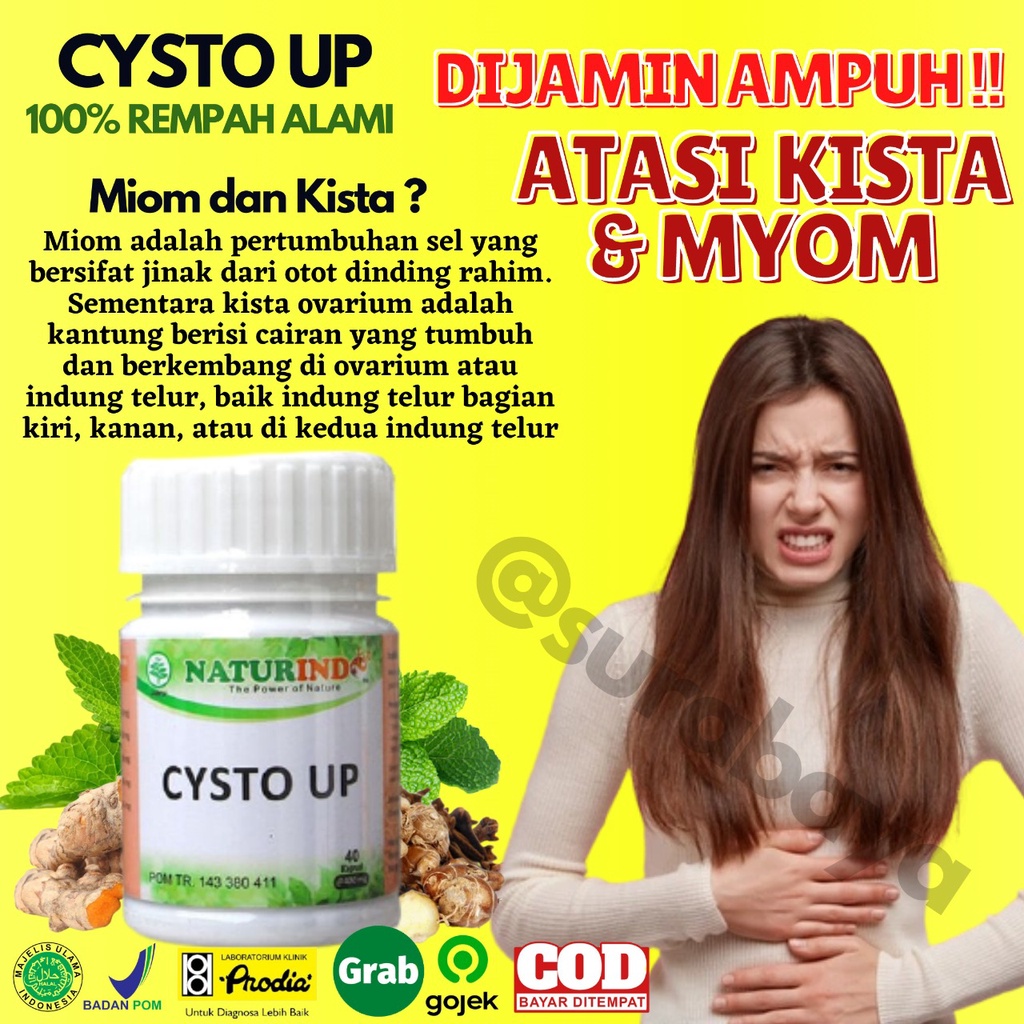 Obat Kista dan Miom Ovarium Obat Herbal Kista Bartholin Obat Penyakit Rahim Obat Cista Cysta Obat Miom Myom Coklat Obat Kista Endometriosis Ampuh Jamu Herbal Kista Miom Tumor Mioma Ampuh BPOM HALAL MUI CYSTO UP Naturindo Surabaya 40 Kapsul-1