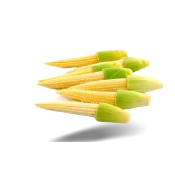 

jagung semi / sayuran segar bandung