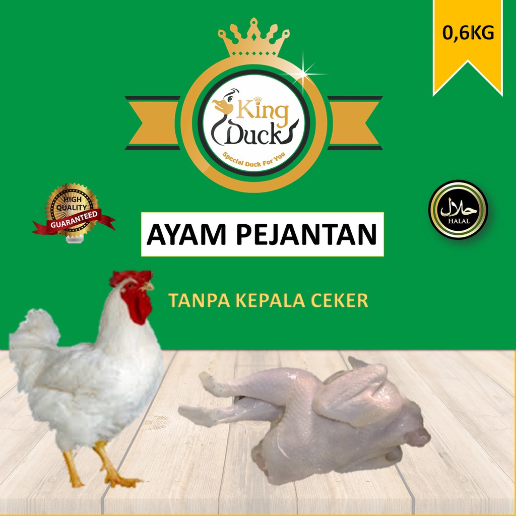 

AYAM PEJANTAN
