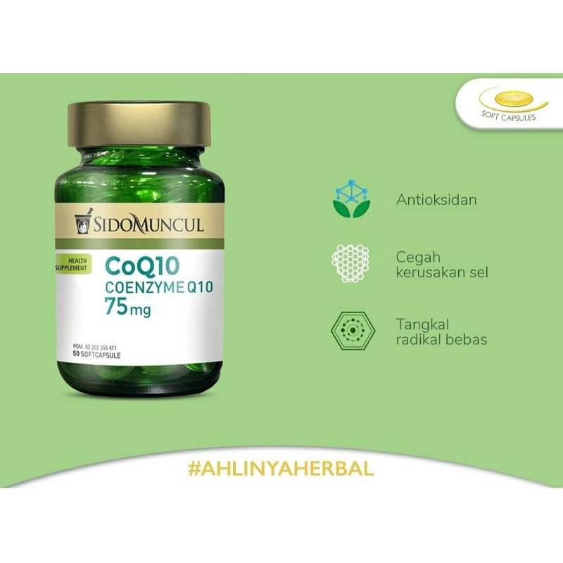 

CoQ 10 dari ' Sidomuncul ' isi 50 caps