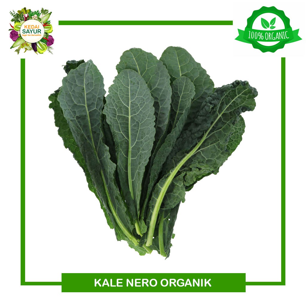 

Sayur Kale Nero Organik 125 gr - Gerai Sayur Sayur Segar Depok