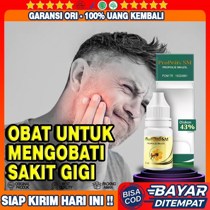 Obat Sakit Gigi, Gigi Sakit, Gigi Berlubang, Gigi Keropos, Gigi Bengkak, Karang Gigi - Propolis SM