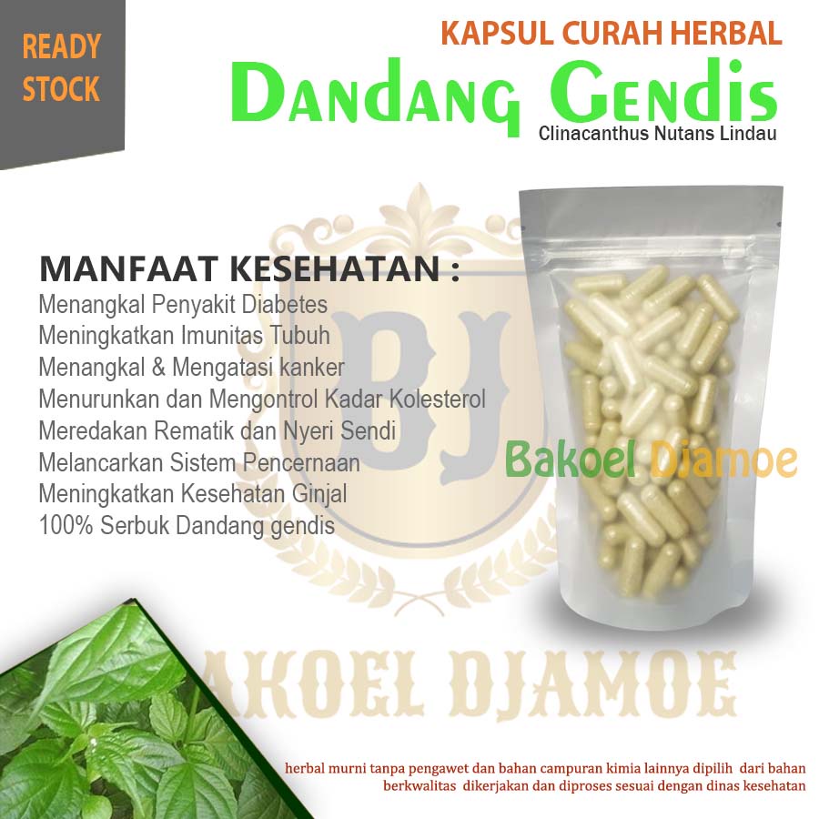 

Kapsul curah herbal dandang gendis kapsul herbal Rematik dan nyeri sendi bisa cod