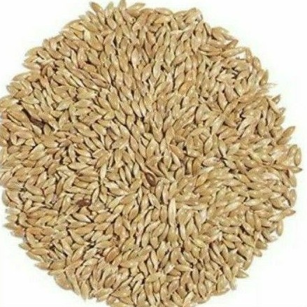 

bijikenari/500gr/murah/kenariseed