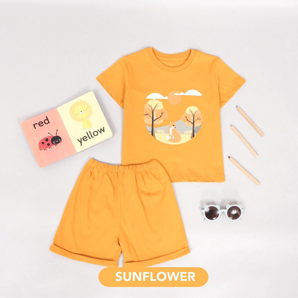 Setelan Anak Graphic Tee Set Basic Tee Hotpants / Setelan Anak Katun 1-5 Thn