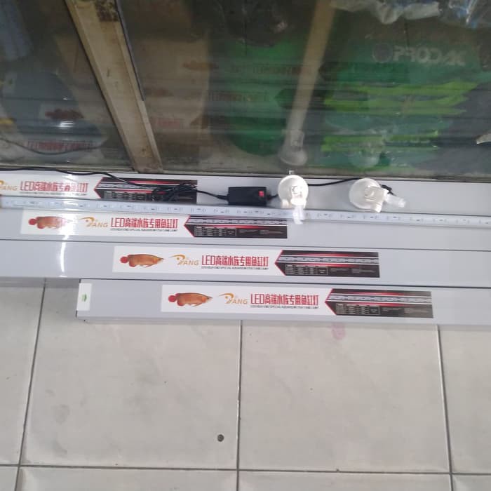 Lampu Tanning T8 (172 cm) 80 watt Merk YANG warna pink keputihan dan putih