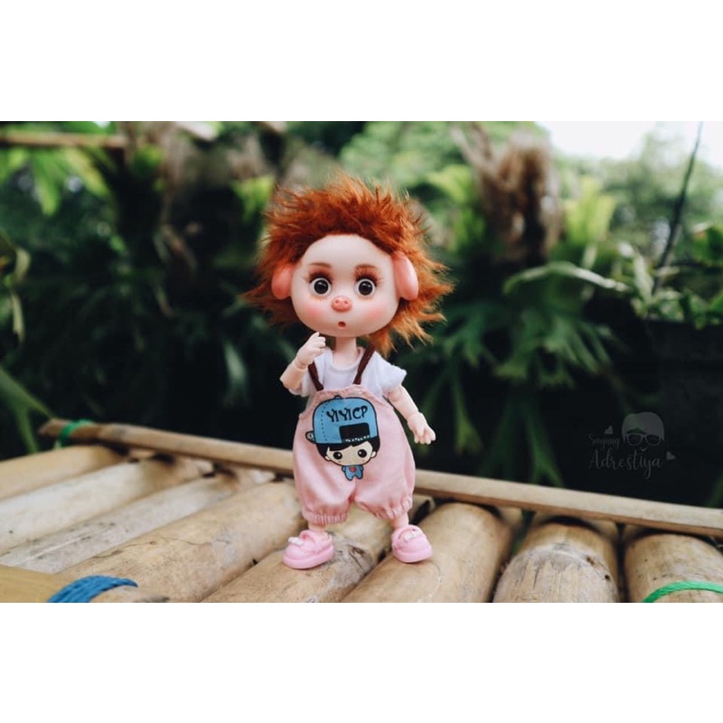 Pig Doll , Obitsu 11cm Boneka Lucu