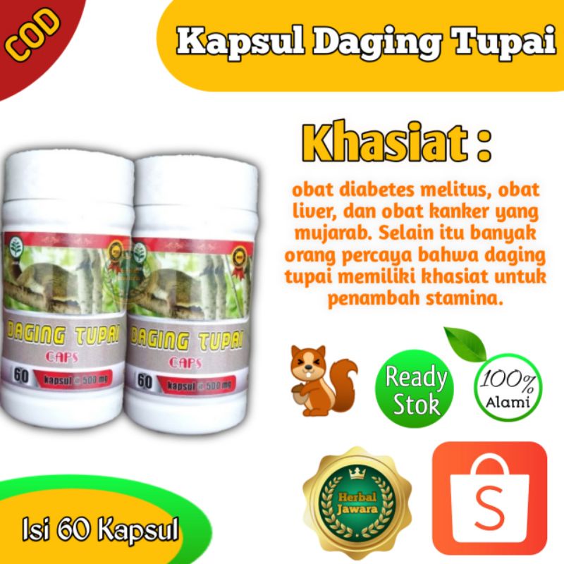 daging tupai / Kapsul daging tupai/ daging tupai 60 kapsul / Daging Tupai 60/ obat diabetes/ obat ke