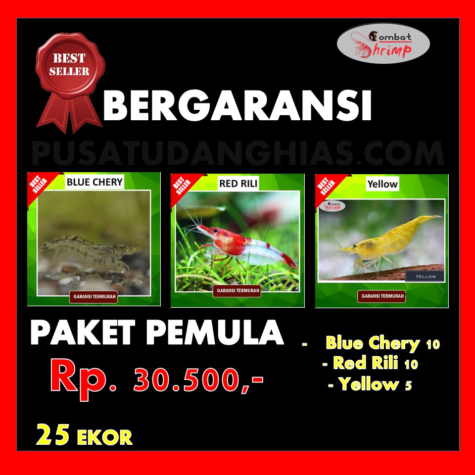 Paket Udang Hias Murah 10 Berkualitas Bergaransi Untuk Aquascape