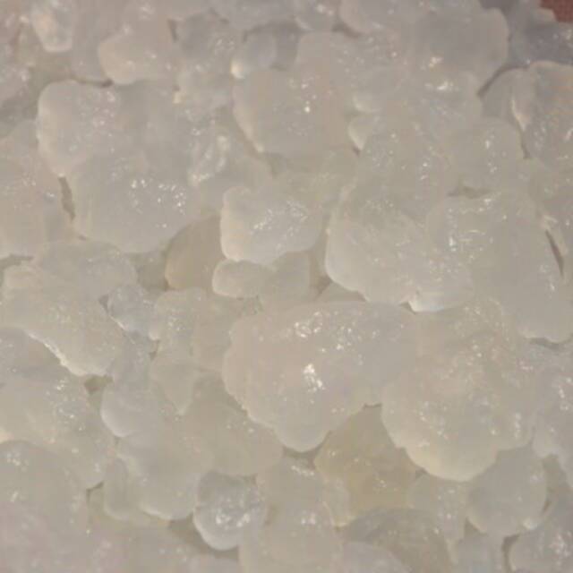 Alga kristal jepang/water kefir