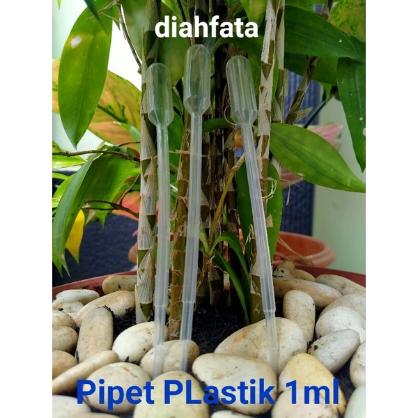 10 Pcs Pipet PLastik 1ml