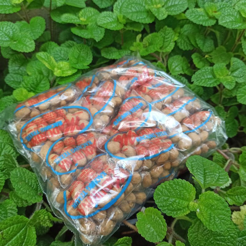 

Madurina Kacang Telur