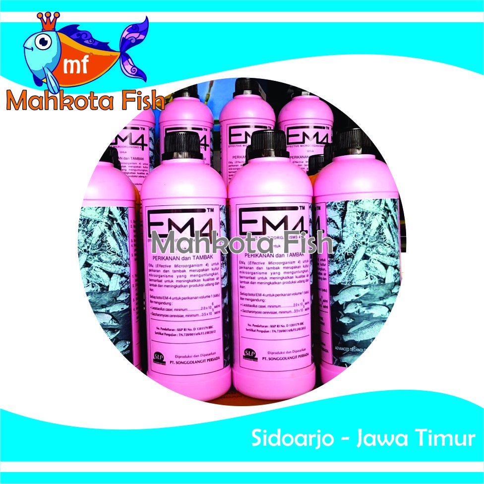 EM4 Perikanan dan Tambak (1 Liter) | Probiotik EM4 Perikanan dan Tambak