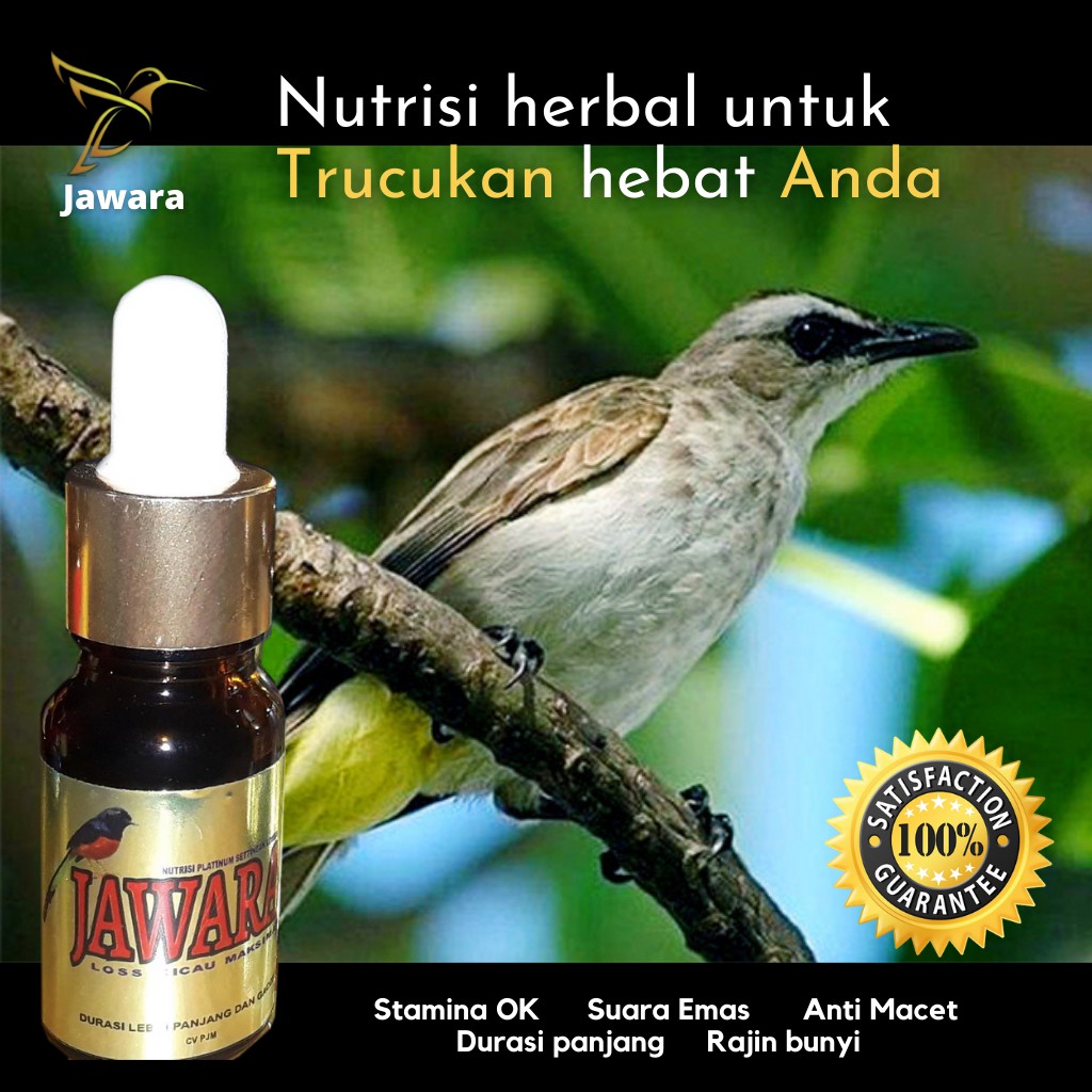 JAWARA Nutrisi Herbal Setingan Lomba Kicau Burung Trucukan
