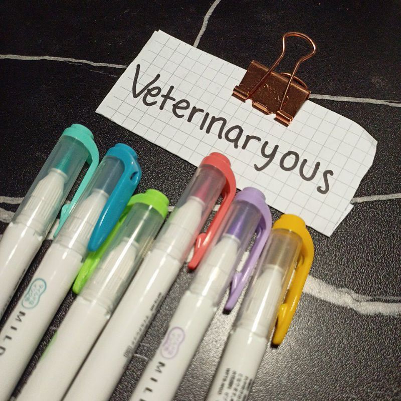 ZEBRA MILDLINER BRUSH PEN PRELOVED