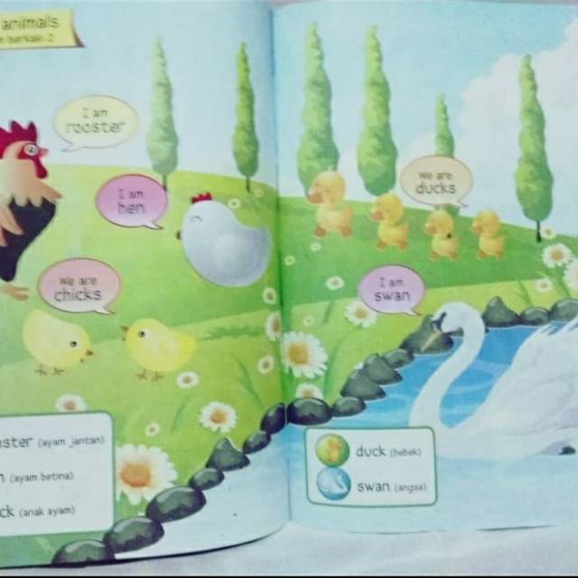 Buku Anak Belajar Berhitung dan Mengenal Hewan Dalam Bahasa Inggris-3
