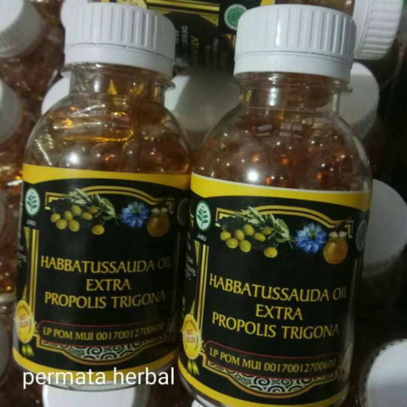 

Obat Herbal Habbatussauda Oil Ekstra Propolis Trigona