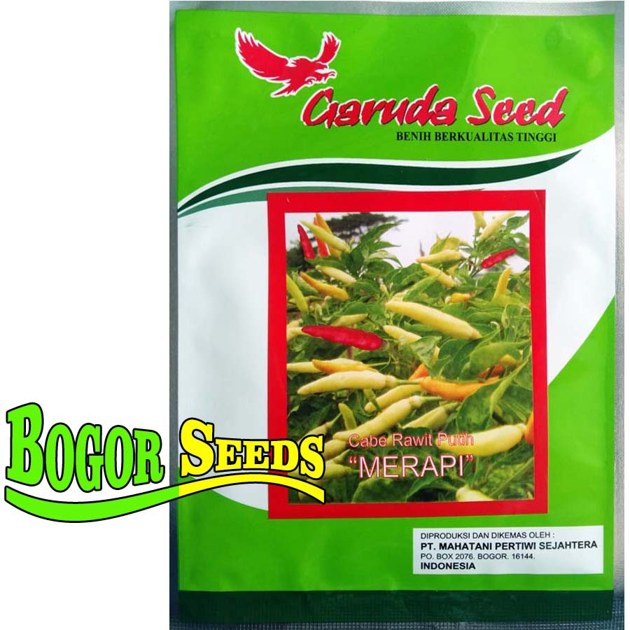 ISI 10GRAM - BENIH CABE RAWIT PUTIH MERAPI - BIBIT CABE RAWIT UNGGUL