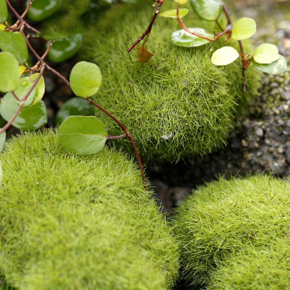 Suyo Mossy Stone Aksesoris Rumput Ornamen Peri Taman Simulasi Lumut