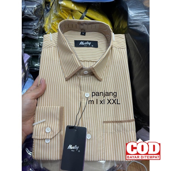 Bukn Alisan Kemeja Harley pria garis krem tangan panjang dan pendek Flannel Murah
