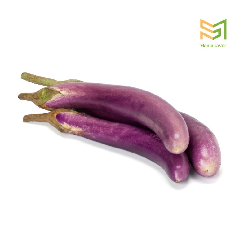 

Terong ungu segar per buah