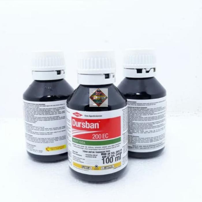 Dursban 200 EC insektisida 100ml