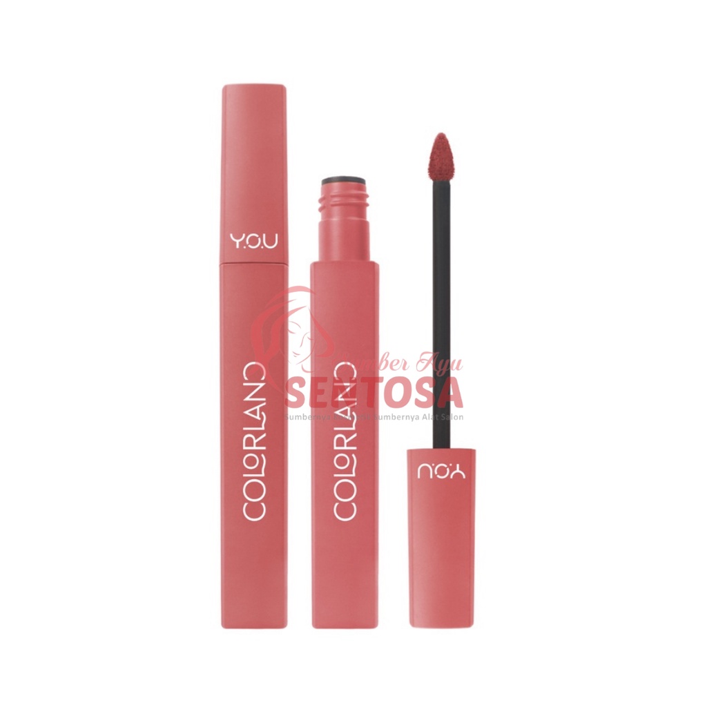 YOU COLORLAND POWDER MOUSSE LIP STAIN 3,2 GR