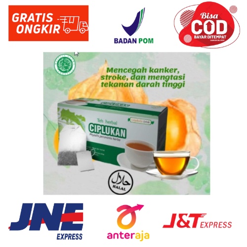 

Teh Celup Herbal CIPLUKAN isi 20 kantong Celup siap saji HALAL BERKHASIAT