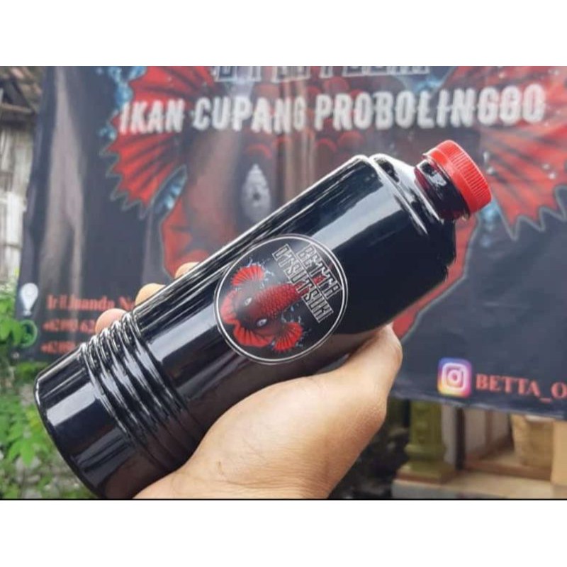 

ekstrak daun ketapang