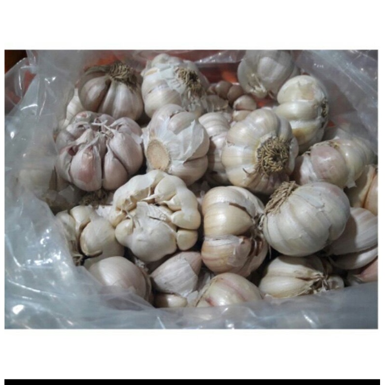 

bawang putih / 250gram