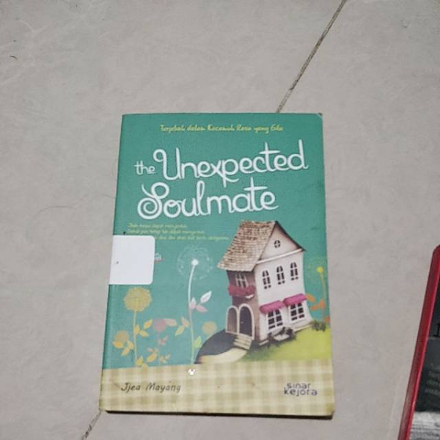 Preloved the unexpected soulmate