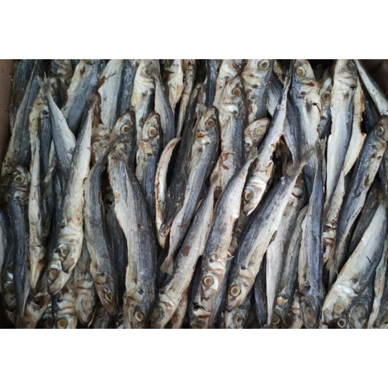 

Ikan Asin peda / Ikan Asin Laut / Ikan Buled Murah 500gram