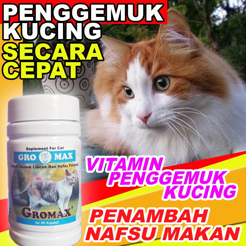 Gm15 Vitamin Penggemuk Kucing Gromax Vitamin Kucing Gemuk Suplemen Kucing Penambah Nafsu Makan Shopee Indonesia