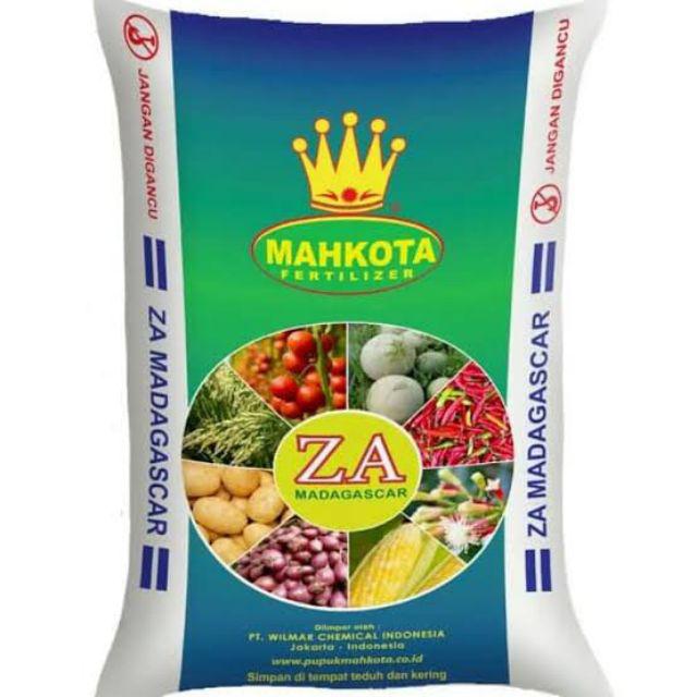 Explore 250ec  250ml (fungisida+zpt)