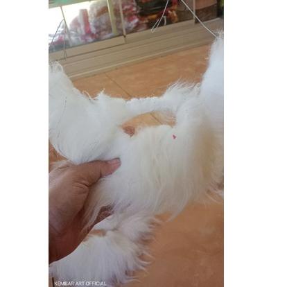 Stok terbatas.. wog warok / jenggot warok warna hitam dan putih