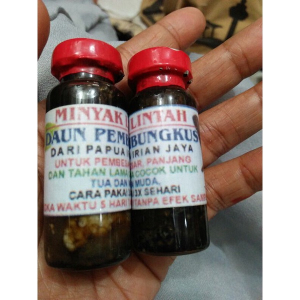 minyak lintah daun pembungkus