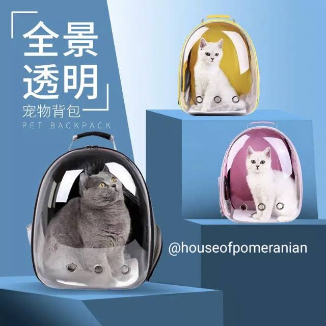 Pet carrier tas ransel jinjing anjing kucing dog cat kennel box travel portable tranparan0