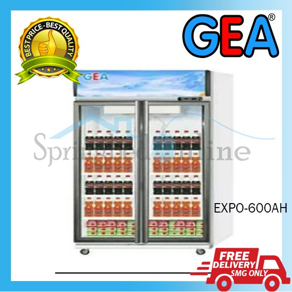 DISPLAY COOLER EXPO 600AH